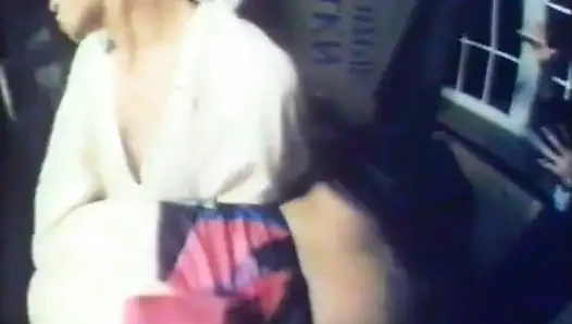 Venikler. polovye schetki (1991) 002-020 dub. lidii velezhevoy