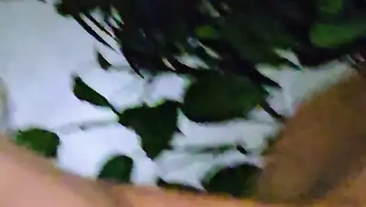 Wow Reniis so Damn Fiine Bigdbg Ile Biraz Kristal Içiyor W / Sexii Siluet Oyunu Hottt