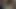 Midilli kızı dev - kadın aşağılama kızları