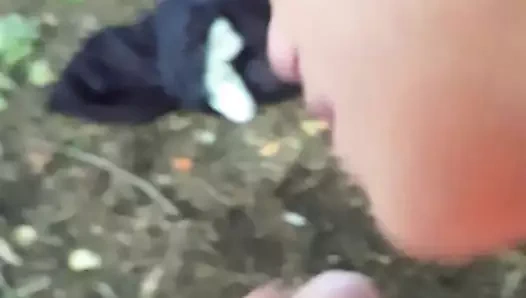 Brockton yap o emme büyük horoz