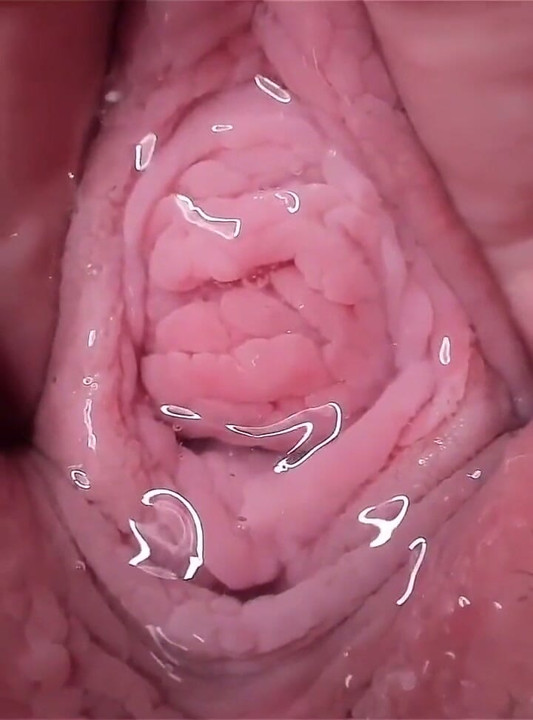 See Inside Me