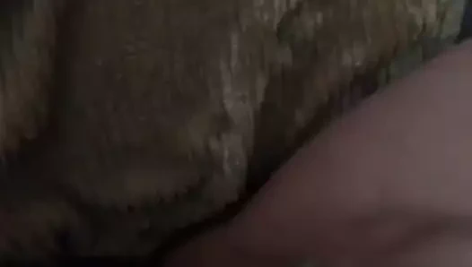 Yatak odasında pissing kedi