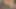 Üstün zenci sürtük yapay penisle mastürbasyon yaptıktan sonra yarak alıyor