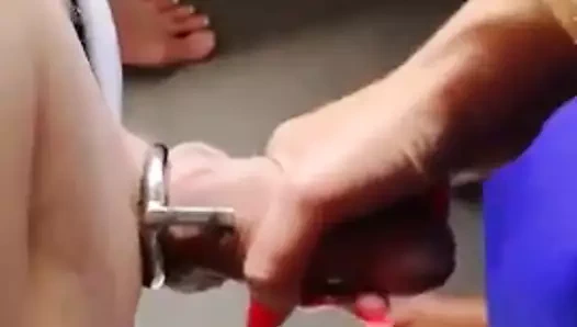 Domina ile Dino moci