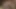 Kötü sesin en iyi animasyonlu 3 boyutlu porno derlemesi 759