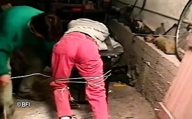 Tamircinin yıkımı.