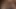 00001Ellie Bee