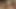 Penny Pax ve Ashlynn Leigh ile anal ceza