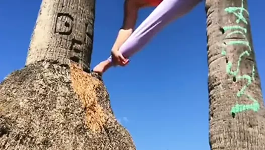 Qp1