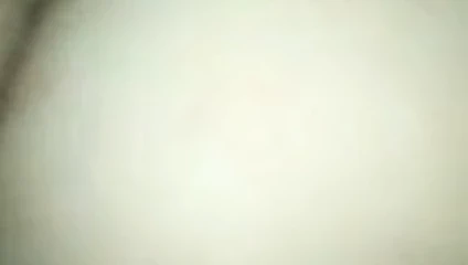 benim kahrolası karım