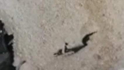 Daha iyi bir tuvalet kölesini hak etmiyorsun