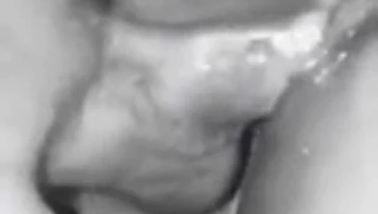 Şimdiye kadarki en ıslak kedi!