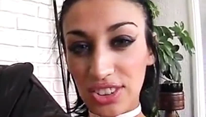 Cheyenne Kamchka - Sodomisee