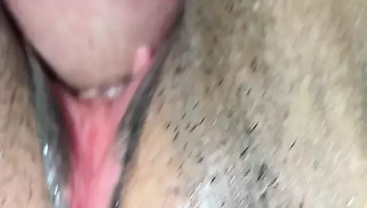 lanet benim hanımları KEDİ yukarı yakın