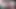 Kondomsuz yüz emziren kuzu