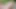 Fransız orta yaşlı seksi kadın louise du lac ve culanta açık havada anal oral seks boşalması