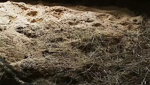 Tera Joy şık bir adam tarafından baştan çıkarılıyor ve her santimi alıyor