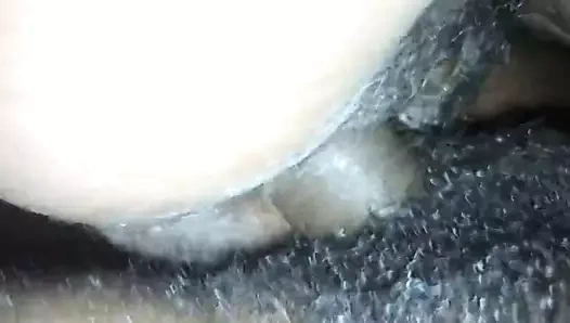 Amador Caseiro Real 48