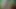 xxxxxxxxxxx