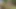 Risky Forest Bath Quickie - Almost Caught Fucking