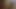 xhamster.com