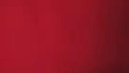 'FLOR'' Chongo Los Negros av Wise