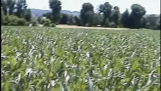 Vintage retro alman amatör - günlük porno dozunuz