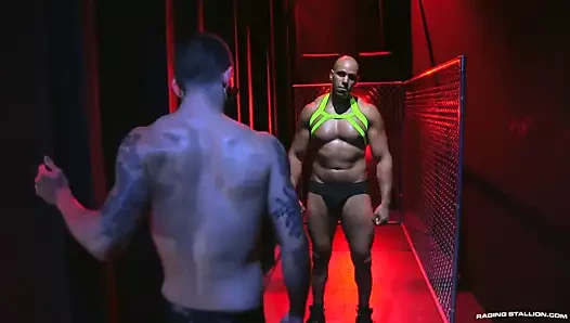 Ragingstallion büyük iri parça, büyük horoz