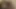 Whiteghetto amatör iri güzel avrupalı orta yaşlı seksi kadın döl tadıyor