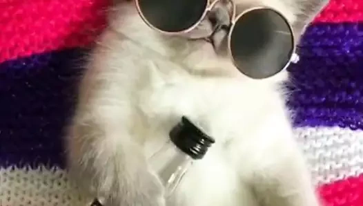 dünyaca ünlü porno tarzı