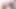 BTS: Zack Dickson, Violet Moore'dan Derin Rim Tapınması Alıyor!
