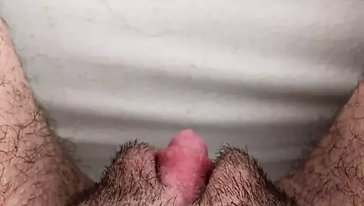 Clito dicklit ftm dik dik