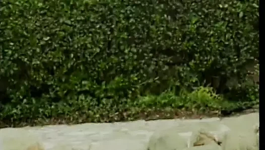 Sevimli bebek sürtme ona göğüsler olarak ona kedi gets yaladı ve becerdin tarafından dik damızlık