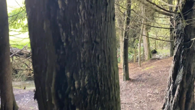 gothic girl sucks a big cock in the middle of the forest