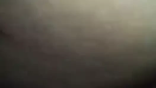 Kedi ile vibratör içinde kedi