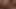 Ivy L -