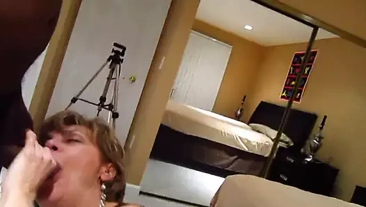 yavru kedi emme bir siyah horoz