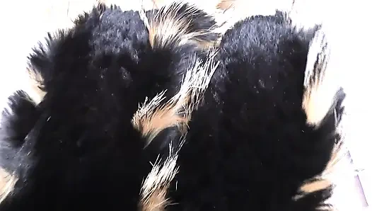 Boşalma eğitimi: kürk atkı koklama ve boşalma, Lady Victoria Valente