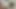 Kedi becerdin üvey kızkardeş. amatör pov