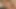 21 sextury - muhteşem Shalina Devine sperm donör ofisinde erkeklere yardım etmeyi seviyor