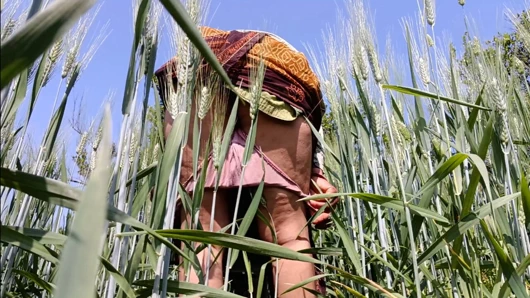 Açık havada buğday tarlasında, kayınpederinin önünde yarak emiyor ve amını sikiyor