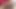 Ateşli kızıl saçlı dildo emiyor ve götüne sokuyor