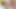 Rüya travesti - köpek derlemesinde sıcak bir tgirl barebacking
