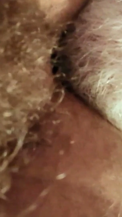 Daddy feasting on a beautiful hairy hole | Klip 1
