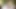 Porno yıldızı Amiee'nin otel odasında mastürbasyon