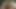Arabada busty güzel amatör sarışın sikikleri!
