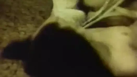 Cinsel tutku kontrolden çıkıyor (1960'larda vintage)