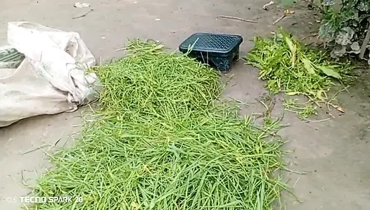 Secret Affair with My Sister-in-Law in the Backyard