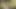 Tushyraw dövmeli güzel lumi bütün gece anal seks istiyor