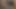 Pornstar redzilla yeme lizlondon kedi sevmek bir whooper